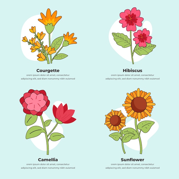 Grafico di fiori botanici disegnati a mano