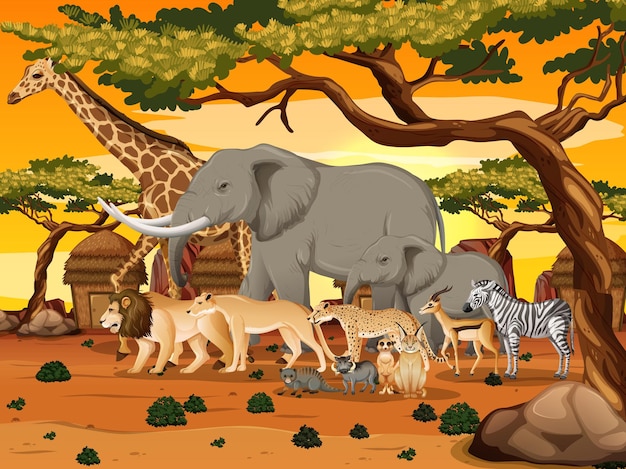 Gruppo di animali selvatici africani nella scena della foresta