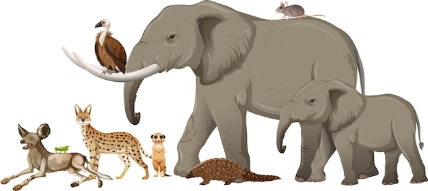 Gruppo di animali selvatici africani su sfondo bianco