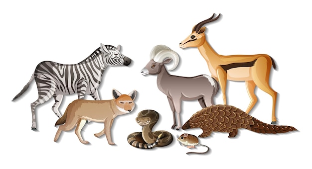 Gruppo di animali selvatici africani su sfondo bianco