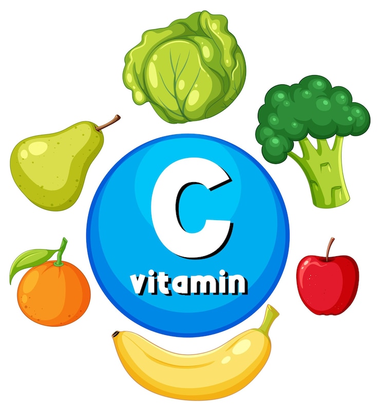 Vettore gratuito gruppo educativo sugli alimenti contenenti vitamina c