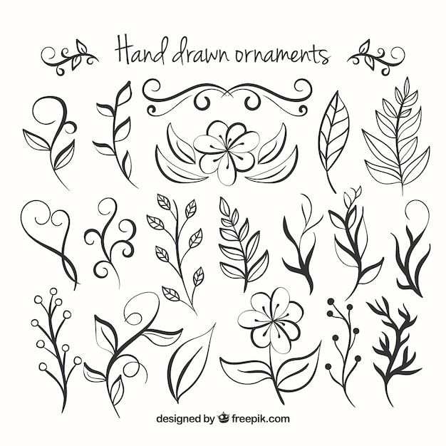 Hand Drawn Collection ornamenti floreali