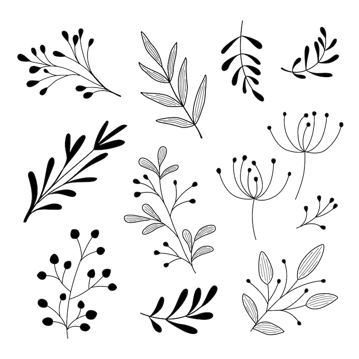 Vettore gratuito hand drawn floral elements collection