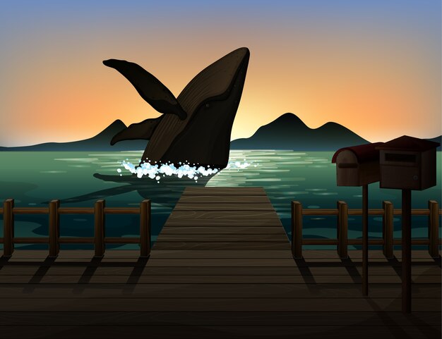 Humpback Whale in natura scena silhouette