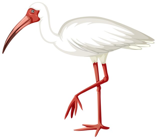 Ibis bianco in stile cartone animato su sfondo bianco