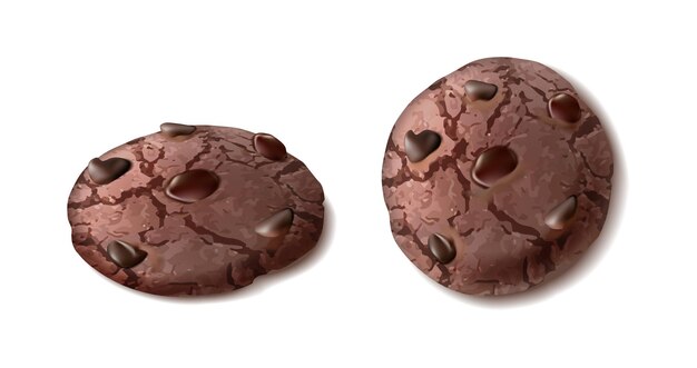 Icona di vettore realistico 3D Biscotto con scaglie di cioccolato nella vista laterale e frontale