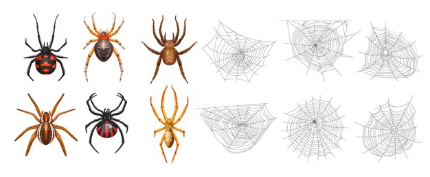 Icona realistica della ragnatela isolata con sei ragni e diverse ragnatele illustrazione vettoriale