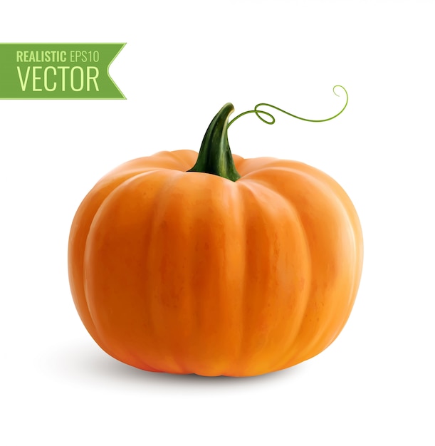 Icona realistica della zucca arancio su bianco per la decorazione Halloween o le vacanze di giorno di ringraziamento