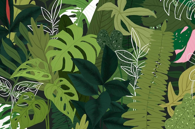 Illustrazione botanica di vettore di sfondo tropicale