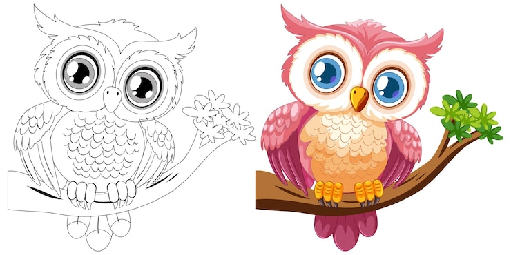 Vettore gratuito illustrazione colorata del gufo prima e dopo
