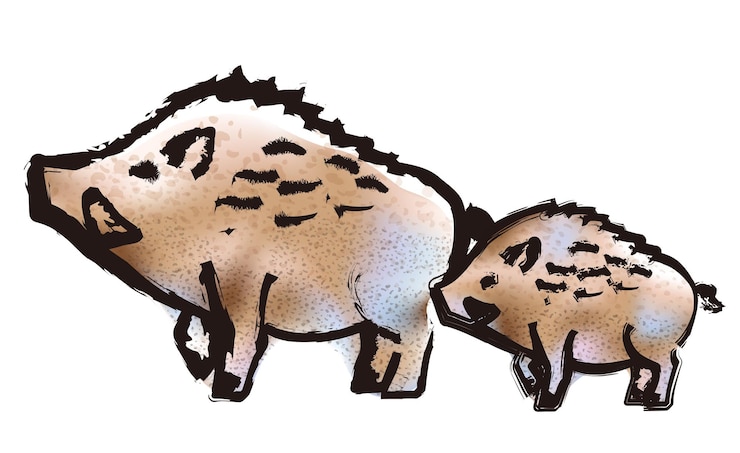 Vettore gratuito illustrazione del cinghiale di vettore di stile del tratto della spazzola isolata su una priorità bassa bianca.