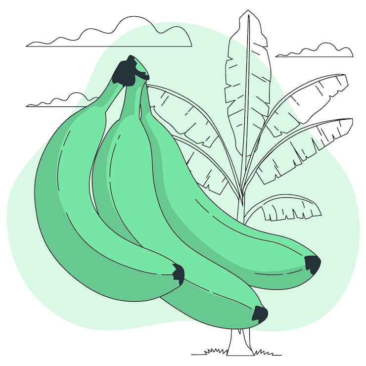 Vettore gratuito illustrazione del concetto di banana