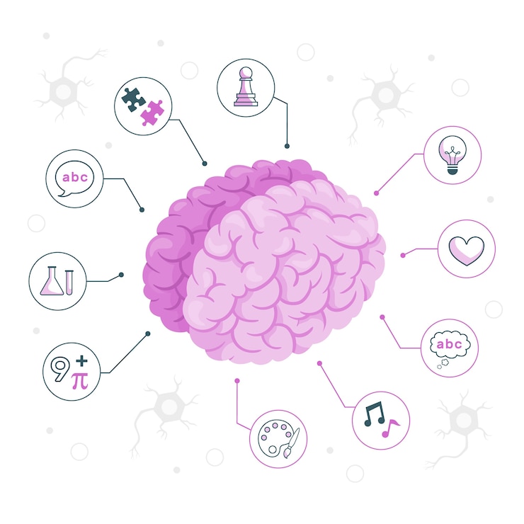 Vettore gratuito illustrazione del concetto di lati del cervello