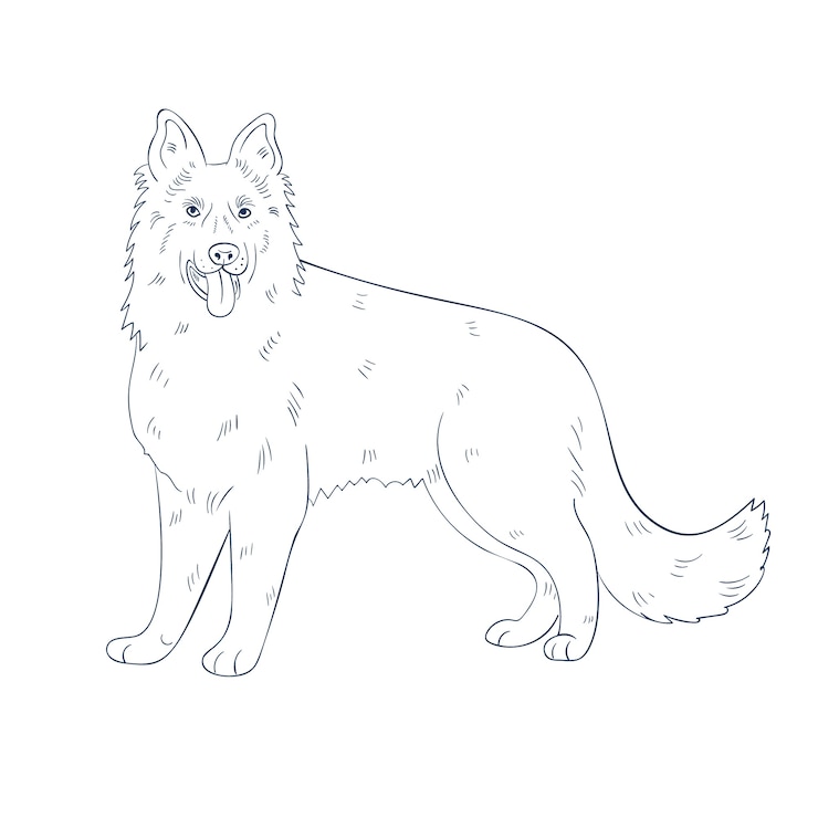 Vettore gratuito illustrazione del contorno del cane disegnata a mano