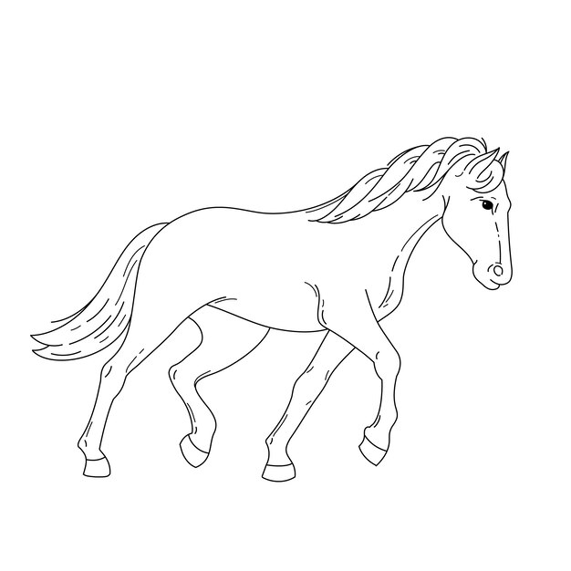 Illustrazione del contorno del cavallo disegnata a mano