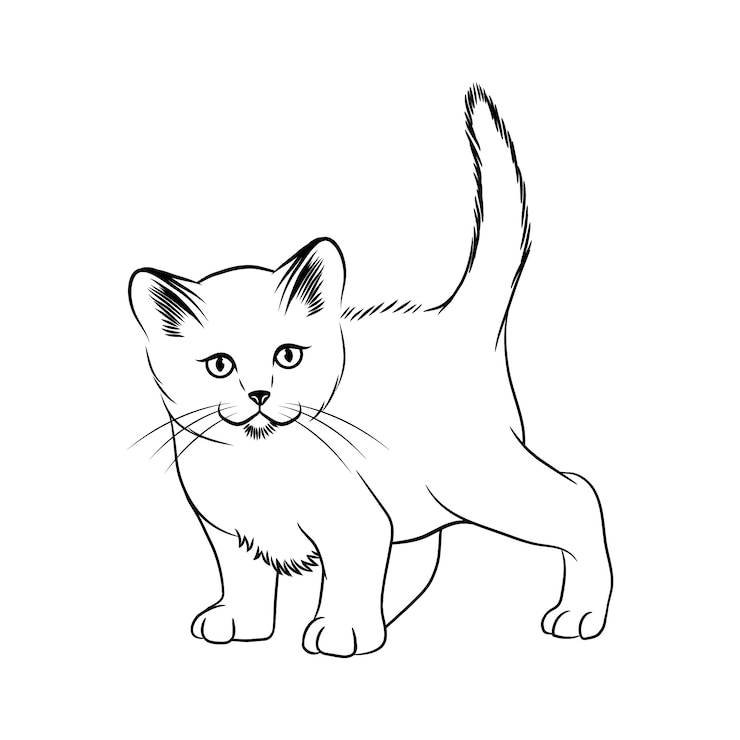 Vettore gratuito illustrazione del contorno del gatto disegnato a mano