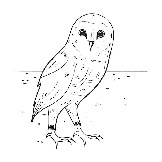 Illustrazione del contorno del gufo disegnata a mano