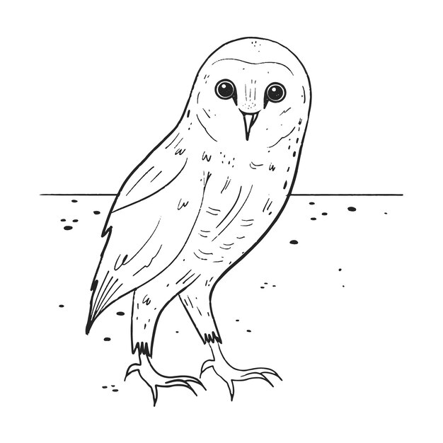Illustrazione del contorno del gufo disegnata a mano