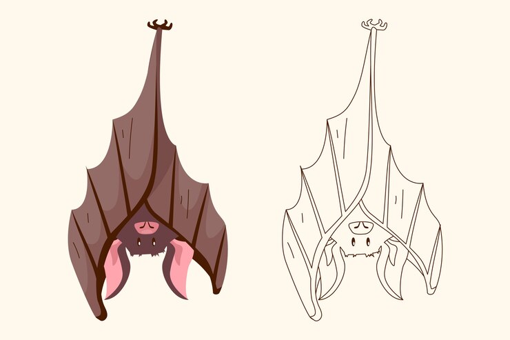 Vettore gratuito illustrazione del contorno del pipistrello disegnato a mano