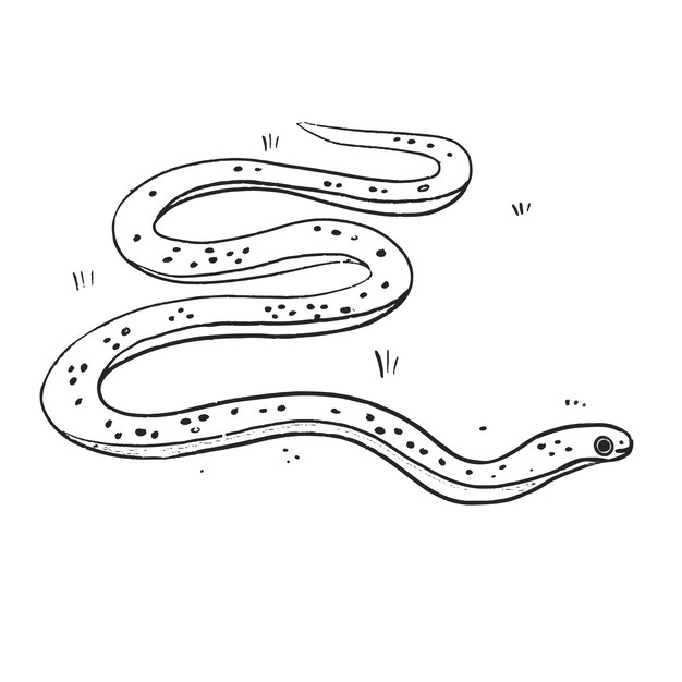 Illustrazione del contorno del serpente disegnata a mano