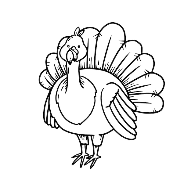 Illustrazione del contorno del tacchino disegnata a mano