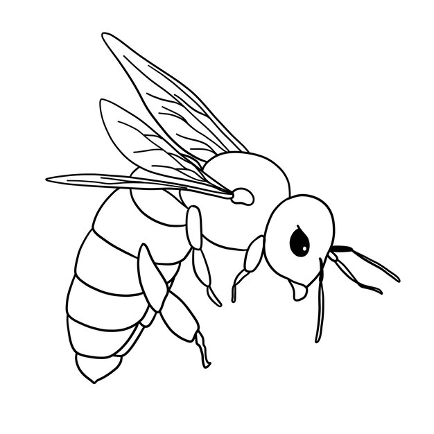 Illustrazione del contorno dell'ape disegnata a mano