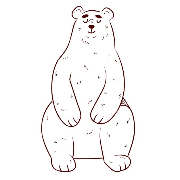 Illustrazione del contorno dell'orso disegnata a mano