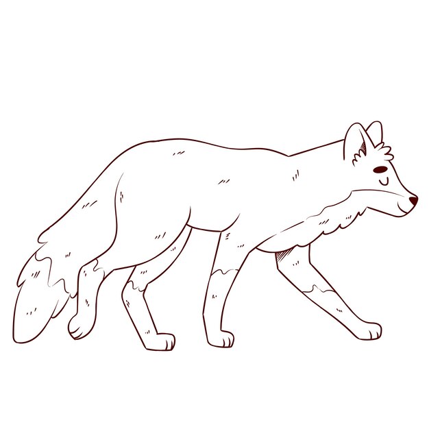 Illustrazione del contorno della volpe disegnata a mano