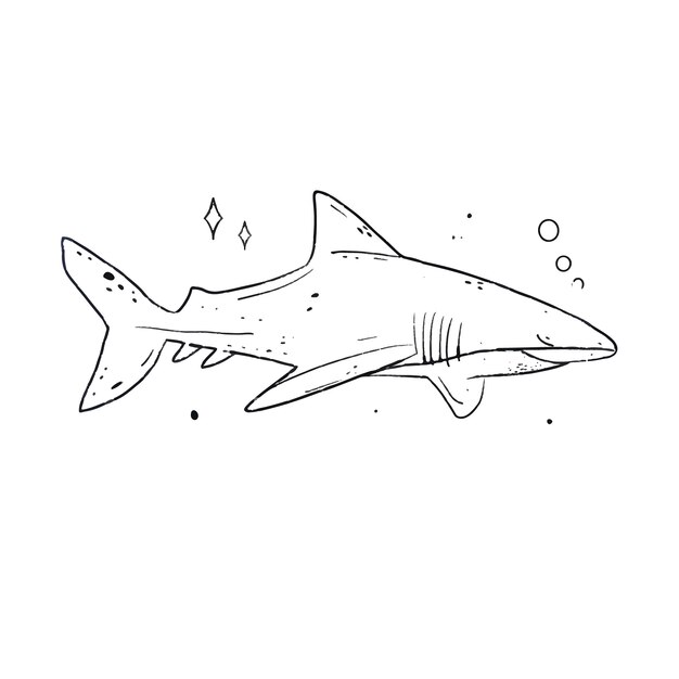 Illustrazione del contorno dello squalo disegnata a mano