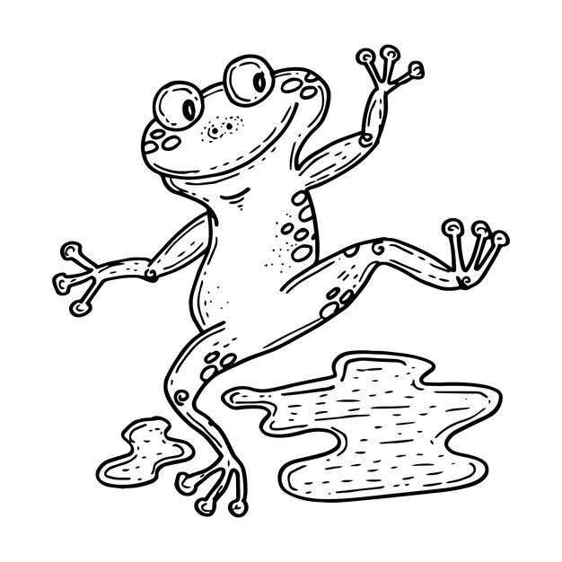 Illustrazione del contorno di rana disegnata a mano