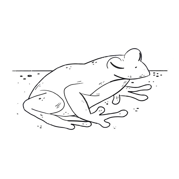 Illustrazione del contorno di rana disegnata a mano