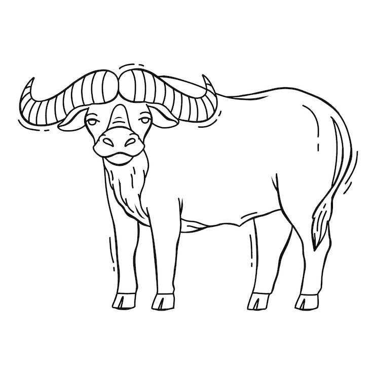 Vettore gratuito illustrazione del profilo del bufalo disegnato a mano