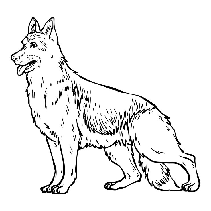 Vettore gratuito illustrazione del profilo del lupo disegnato a mano
