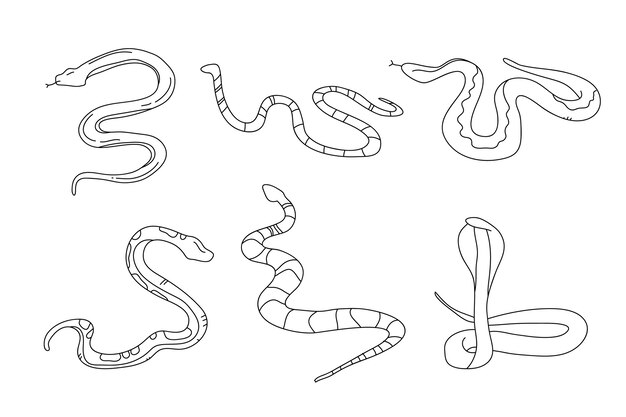 Illustrazione del profilo del serpente disegnato a mano