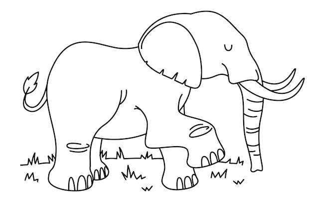 Illustrazione del profilo dell'elefante disegnato a mano