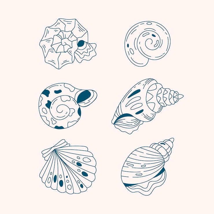 Vettore gratuito illustrazione del profilo della conchiglia dal design piatto