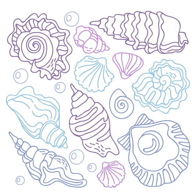 Illustrazione del profilo della conchiglia disegnata a mano