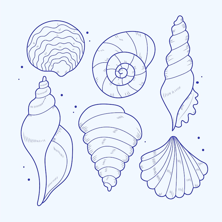 Vettore gratuito illustrazione del profilo della conchiglia disegnata a mano