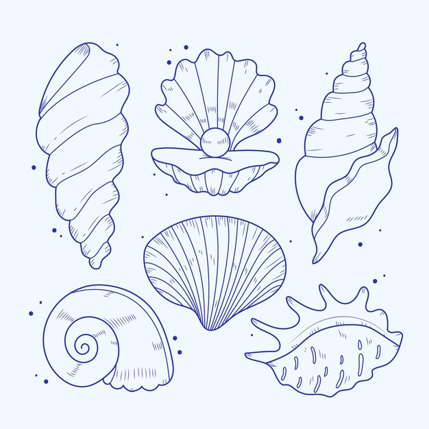 Illustrazione del profilo della conchiglia disegnata a mano
