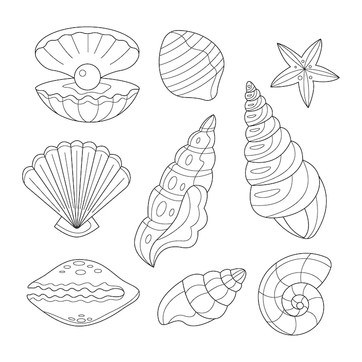 Vettore gratuito illustrazione del profilo della conchiglia disegnata a mano