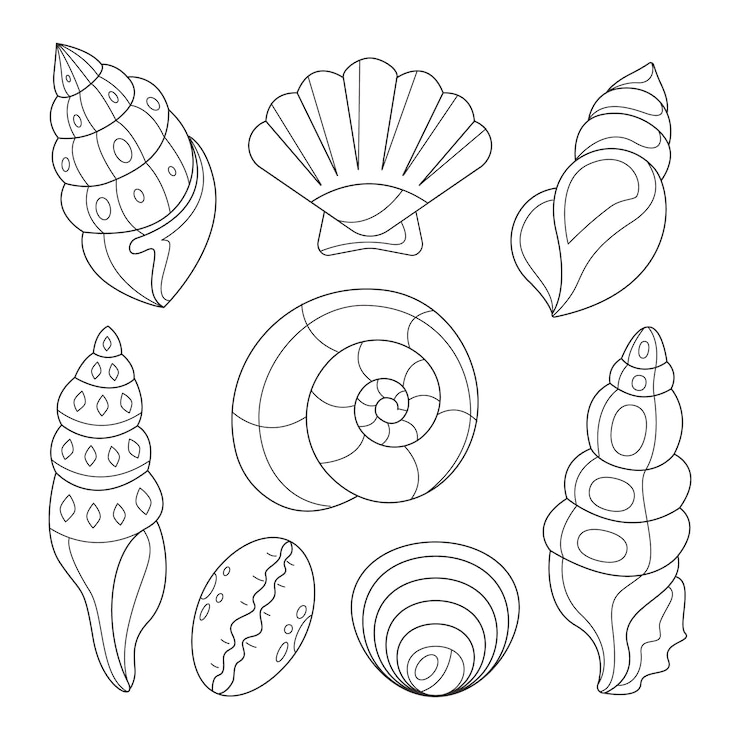 Vettore gratuito illustrazione del profilo della conchiglia disegnata a mano