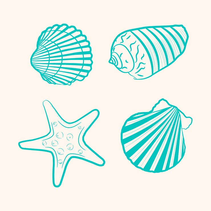 Vettore gratuito illustrazione del profilo della conchiglia disegnata a mano