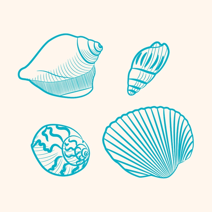 Vettore gratuito illustrazione del profilo della conchiglia disegnata a mano