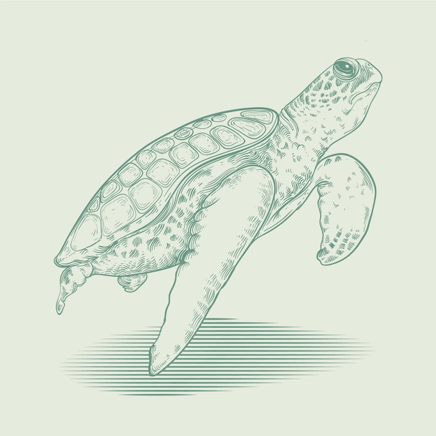 Illustrazione del profilo della tartaruga disegnata a mano