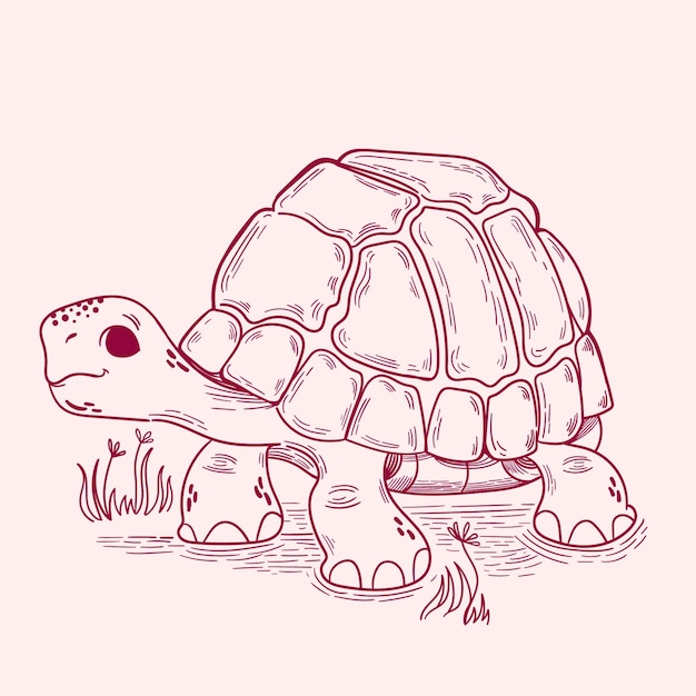 Illustrazione del profilo della tartaruga disegnata a mano