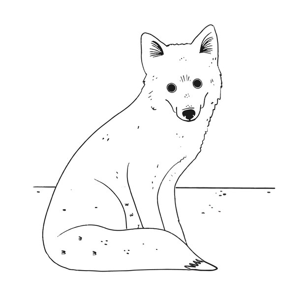 Illustrazione del profilo della volpe disegnata a mano