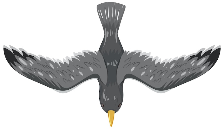 Vettore gratuito illustrazione dell'uccello maestoso in volo
