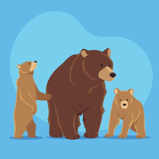 Illustrazione della famiglia dell'orso disegnato a mano