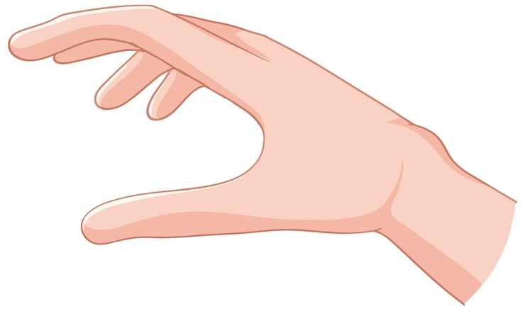 Vettore gratuito illustrazione della mano medica