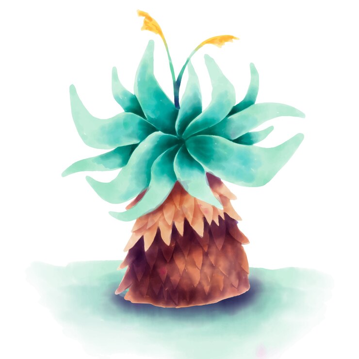 Vettore gratuito illustrazione della pianta del frailejon dell'acquerello